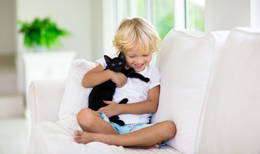Pest Control in Upland Kid & Pet Friendly