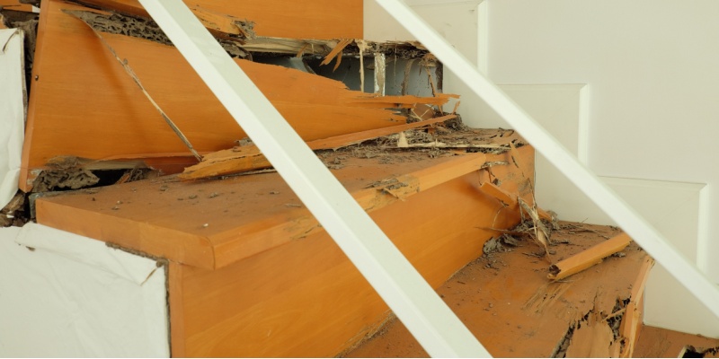 How to Protect Your Rancho Cucamonga Home from Termite Damage